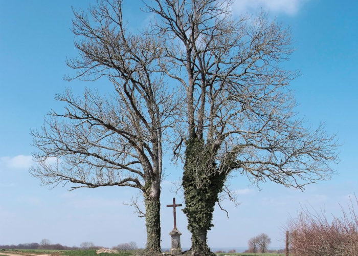 © T. Kuntz, SRI, Région de Bourgogne, 2009